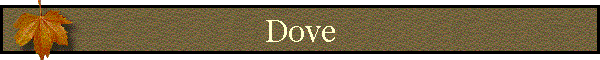 Dove