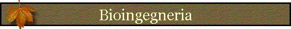 Bioingegneria